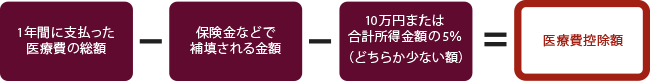 医療費控除額を計算してみよう！